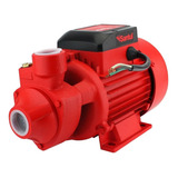 Bomba Agua Eléctrica Periférica Santul Riego 750w Altura 65m Color Rojo