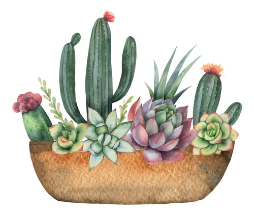 Vinilo Decorativo 30x45cm Cactus Con Flores Plantas M3