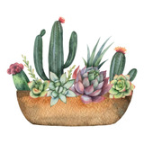 Vinilo Decorativo 30x45cm Cactus Con Flores Plantas M3