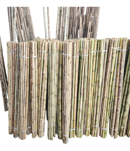 Tutor Cultivo De Bambu Colihue Sin Seleccionar, 15 Unid/paq