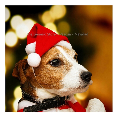 Disfraz Gorro Pascuero Para Tu Mascota Perro Gato Navidad X1