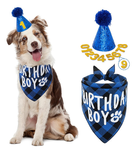Perro Pet Fiesta Cumpleaños Set Collar/sombrero/pull Flag 