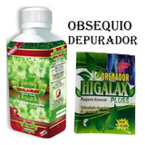 Gualanday Jarabe 360 Ml - mL a $53