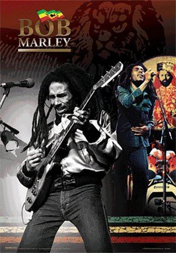 Póster 3d Lenticular Bob Marley - Tocando La Guitarra - 8 X 