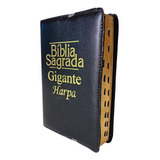 Bíblia Sagrada Masculina Harpa Cristã Letra Grande Gigante