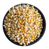 Maiz Pop Corn 5kg