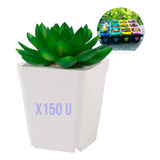 Set Maceteros Cactus Suculentas 7x7x8(cm)//150 Unidades