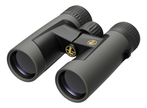 Binocular Leupold Bx-2 Alpine 10x42 Roof Shadow Gray Caza