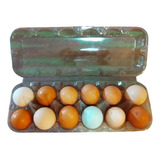 Caixa Para 12 Ovos De Galinha 80 Embalagens-bandejas