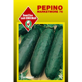 Semillas Pepino Marketmore 76 Hortaliza