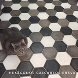 Calcareo Hexagonal Para Pisos Y Paredes X M2! Fabricantes