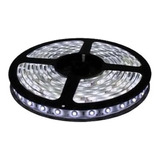 Fita Led 5050 Branco Frio 300 Leds 5 Metros 12v Ip65 Cor Da Luz Branco-frio