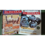 Revistas El Federal. Lotes De Revistas En Excelente Estado