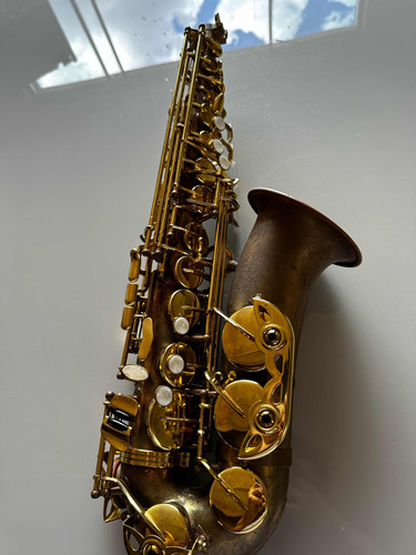 Saxofone Alto Envelhecido Hoyden Linha Especial