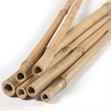 Tacuara Bambu /tutores 4mt  Por 10 Unidades