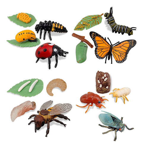 16 Piezas De Figuras De Insectos, Ciclo De Vida De Las