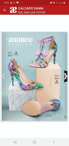 Zapatos Andrea Cklass Prise Shoes