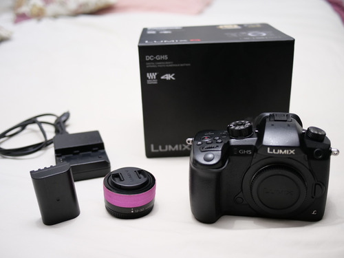 Câmera Lumix Gh5 Com Caixa + Lente 12 32mm