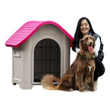 Casa De Perro Grande Magenta Large Breed Dog Mq