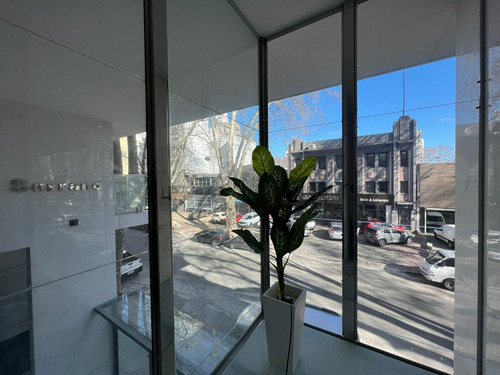 Venta Local Comercial Rentado Doble Altura Cordón Sur Zona Diseño - Imagen 4