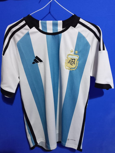 Camiseta De Argentina 