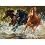 Ceaco - Caballos - Splash - Puzzle De 500 Piezas