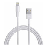 Cargador + Cable Compatible Con iPad Air Air 2 Mini 2 4 Pro Color Blanco