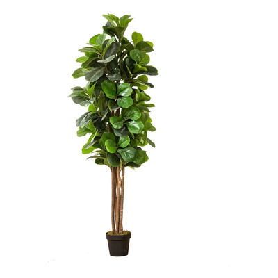 Arbol Grande Ficus Pandurata Artificial 180cm Con Maceta | MercadoLibre