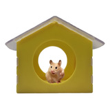 Casa Para Hamster De Acrilico 12 X 10 X 10cm Con Viruta 