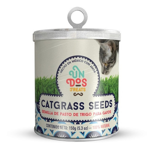 Catgrass Seeds Pasto De Trigo Para Gatos