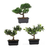 Nearly Natural 4122 - Colección De Plantas De Seda Bonsai (3