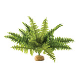 Planta De Terrario Exo Terra, M, Boston Fern