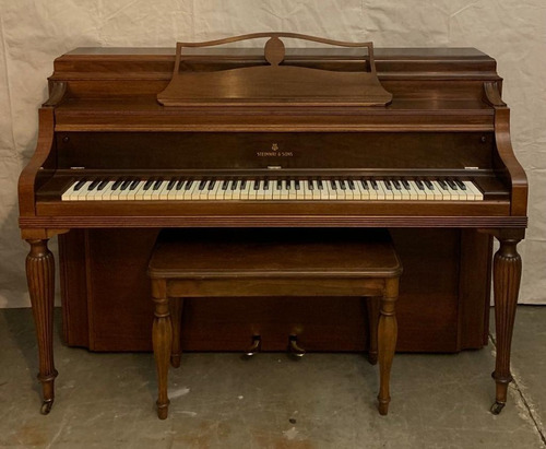 Piano Steinway & Sons (219)