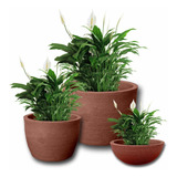 3 Vasos Grafiato Luxo Plantas Casa Decor Jardim + 3 Pratos