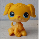 Figura Little Pet Shop Hasbro # 286 Golden Retrieved 