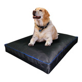 Colchon Liso Antidesgarro 100x100x10 Cm Cama Para Perros