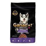 Alimento Ganador Premium Perro Cachorro Raza  Grande/med 4kg