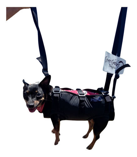 Selete Dog Cross Country Paraglider