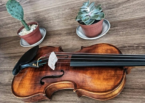 Violino Stradivarius Profissional (luthier)