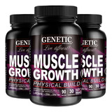 Muscle Growth Oxido Nitrico Arginina Ornitina Lisina Genetic