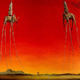 Cuadro  Los Elefantes De Dalí 