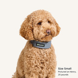 Spoton Gps Dog Fence - La Valla De Collar De Perro #1 (pequ