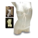 Florero Torso Femenino Con Iluminación Decoración