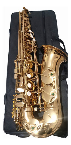 Sax Alto Halk Novíssimo (( 1699 Com Desconto/revisado))