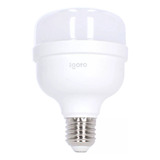 Foco Led De Alta Potencia 40 W Luz Calida 3600 Lm