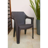 Silla Rattan Original Ardilla Envio Gratis