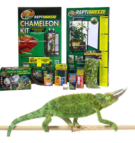 Paquete Camaleon Jackson Zoomed Reptibreeze Terrario 