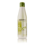 Salerm Shampoo Citric Balance Cabello Teñido O Mechas 250ml