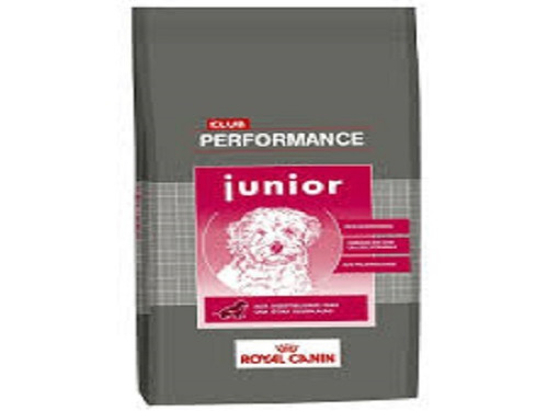 Royal Canin Performance Junior X 15kg + Envios!!!