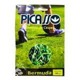 Semilla Cesped Pasto Picasso Bermuda X 50gr Cynodon Dactylon